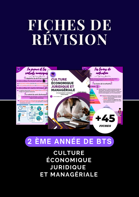 Fiches de révision 2ème année de Culture Économique Juridique et Managériale