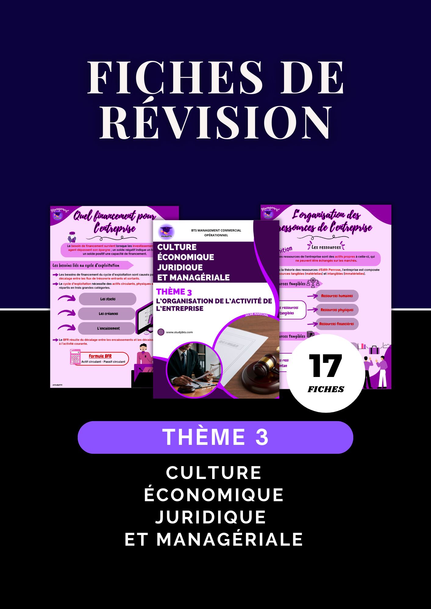 Fiches de révision Culture Économique Juridique et Managériale Thème 3
