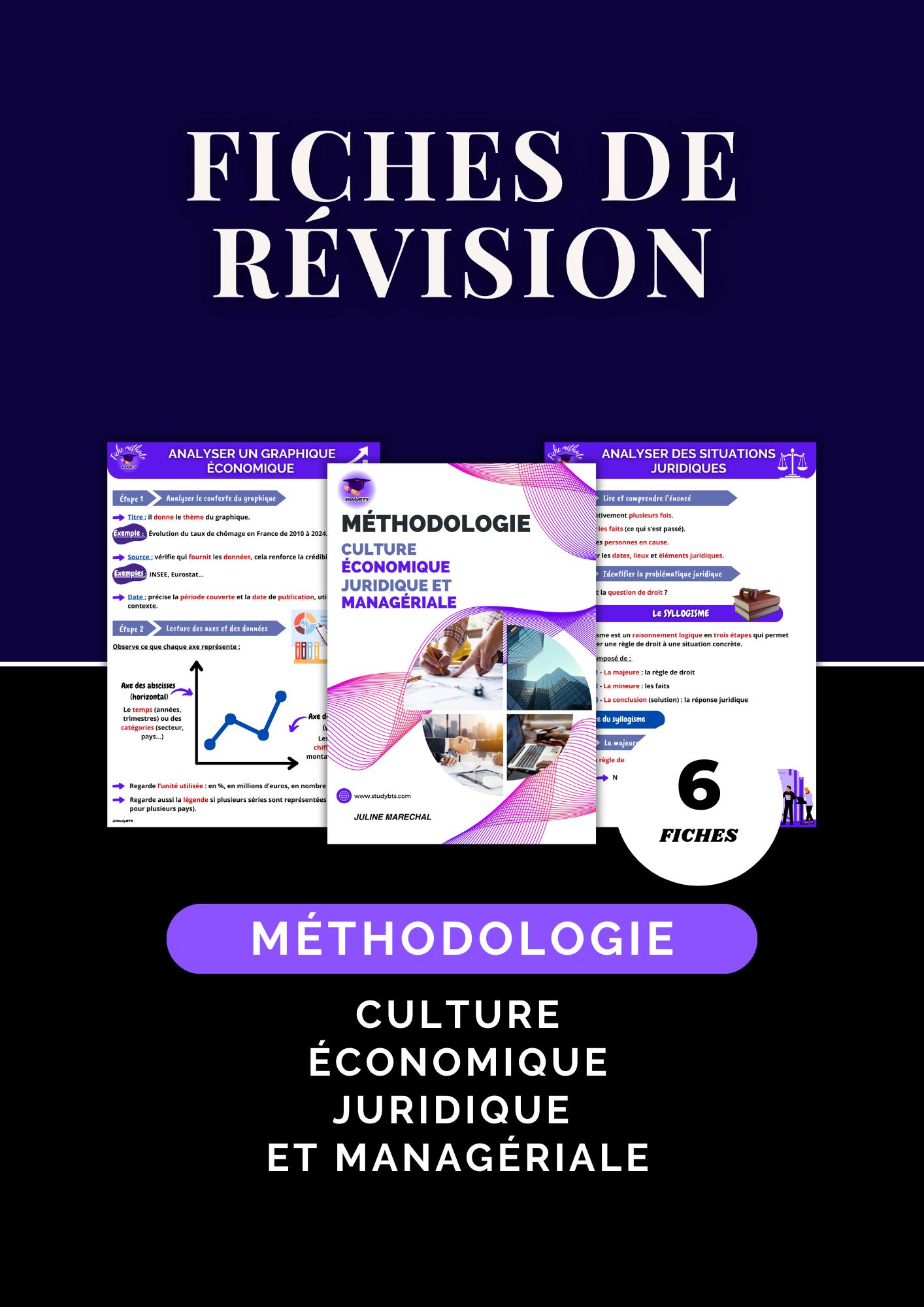 Fiches de révision méthodologie en culture économique juridique et managériale